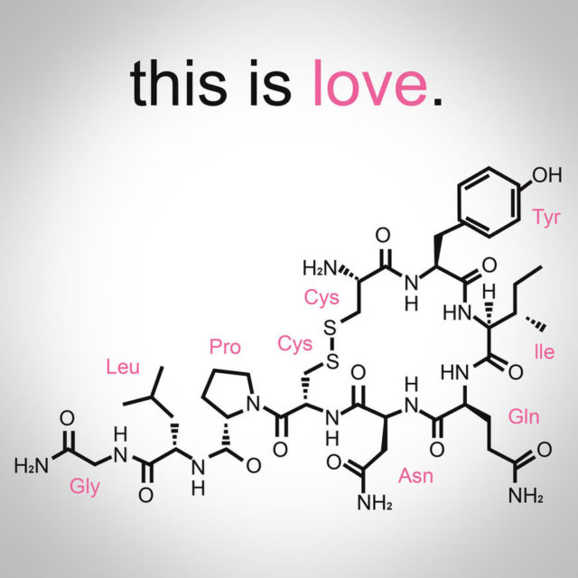 oksitosin adalah hormon cinta